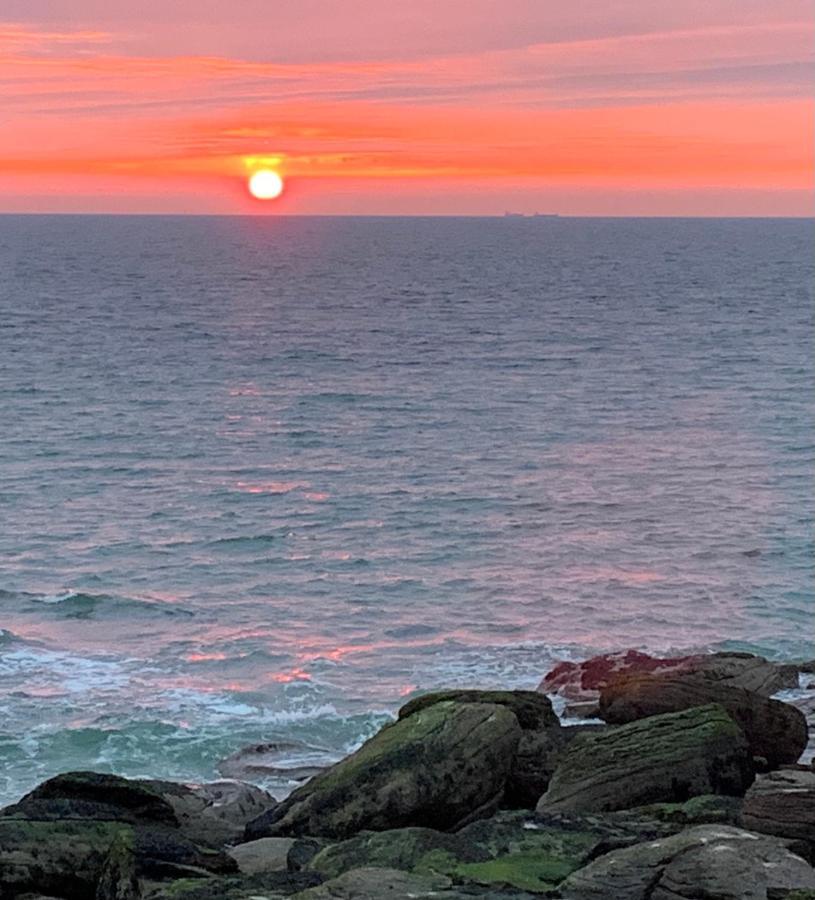 La régate Wimereux - vue mer Extérieur photo